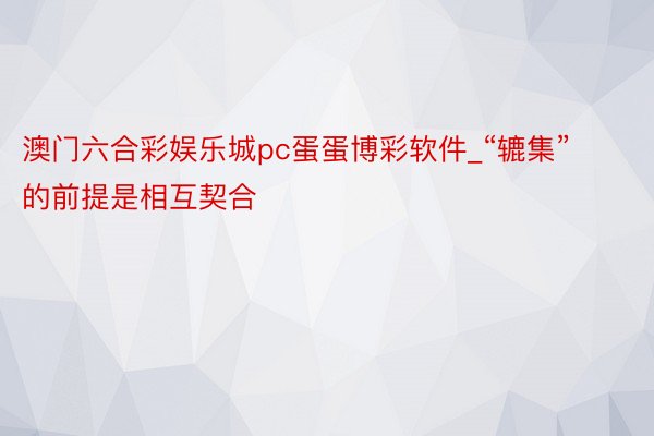澳门六合彩娱乐城pc蛋蛋博彩软件_“辘集”的前提是相互契合