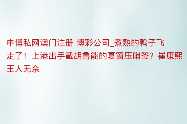申博私网澳门注册 博彩公司_煮熟的鸭子飞走了！上港出手截胡鲁能的夏窗压哨签？崔康熙王人无奈