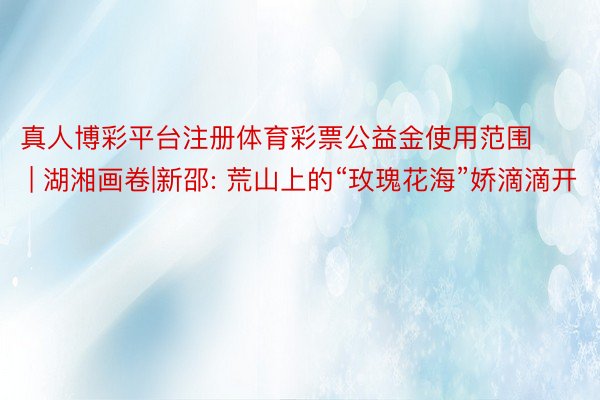 真人博彩平台注册体育彩票公益金使用范围 | 湖湘画卷|新邵: 荒山上的“玫瑰花海”娇滴滴开