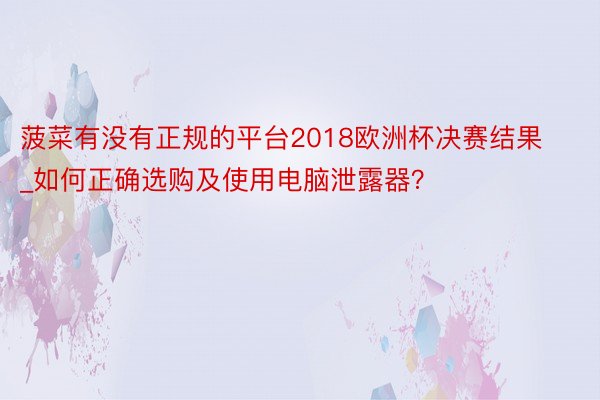 菠菜有没有正规的平台2018欧洲杯决赛结果_如何正确选购及使用电脑泄露器？