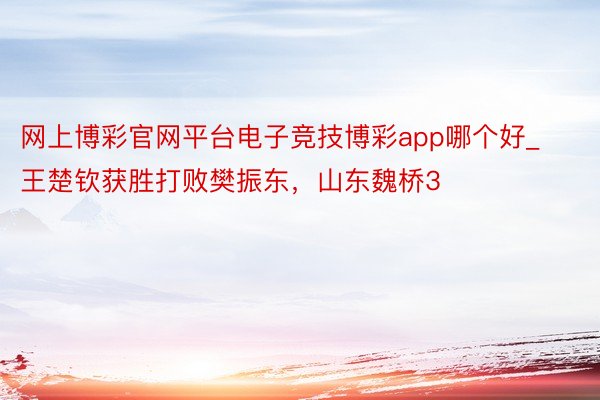 网上博彩官网平台电子竞技博彩app哪个好_王楚钦获胜打败樊振东，山东魏桥3